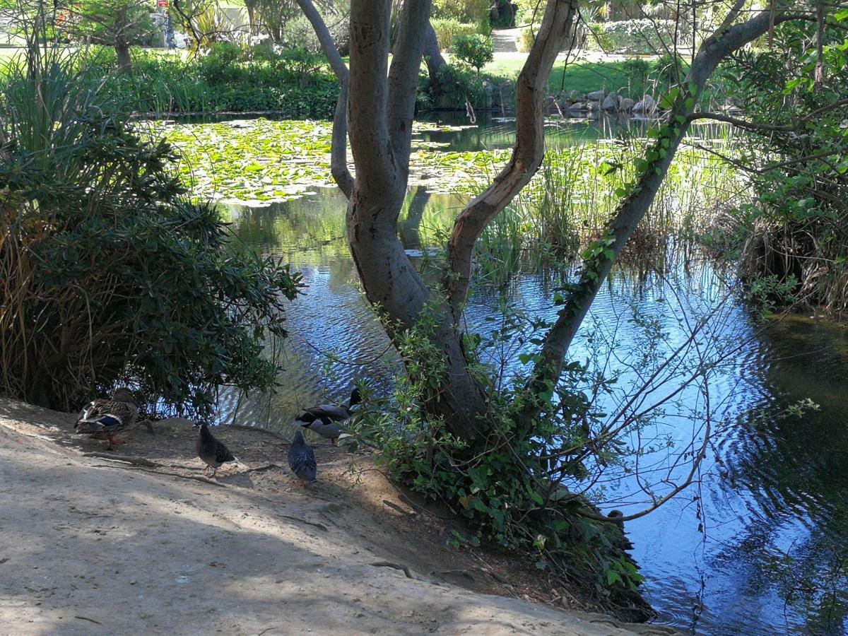 Domaine De La Coudouliere, T2 Climatise Terrasse Vue Mer Sans Vis A Vis Plage A 100M Six-Fours-les-Plages Buitenkant foto